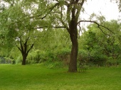 DSC08035.JPG